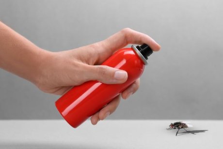 Чего боятся мухи и как от них избавиться